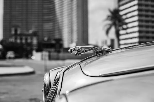 Casino Loyal Bet Android/iOS rakendus